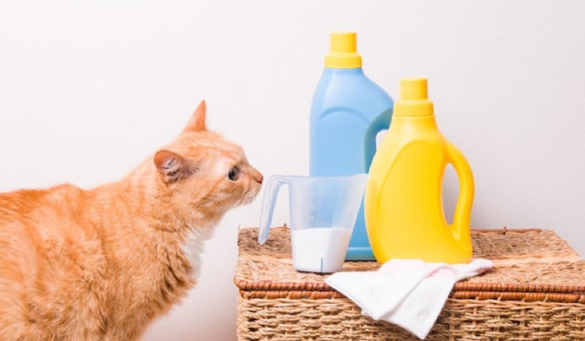 Purchase and price of safe detergents for pets